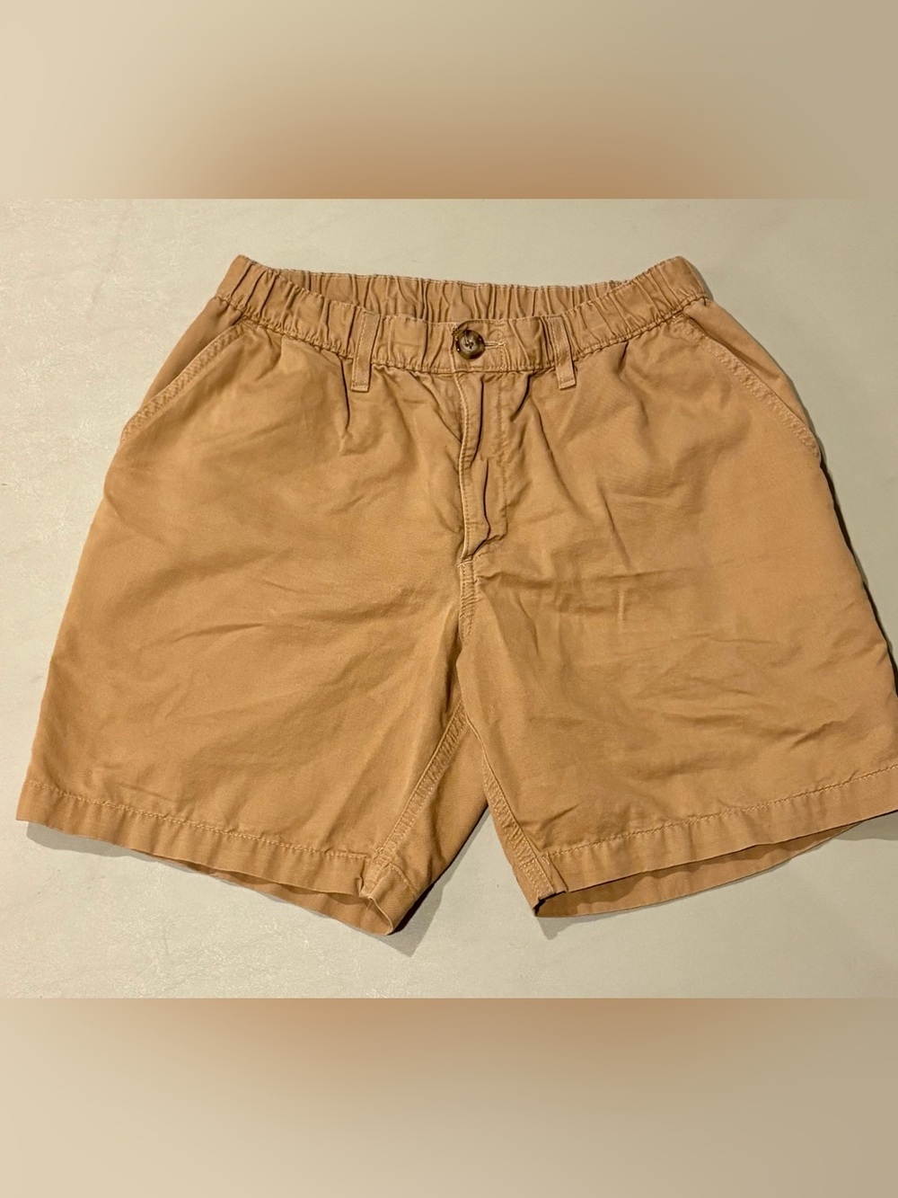 Chubbie Shorts